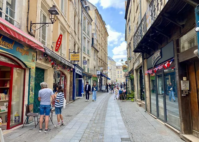 Apartament Le Cordelier - Hypercentre - Quartier Historique