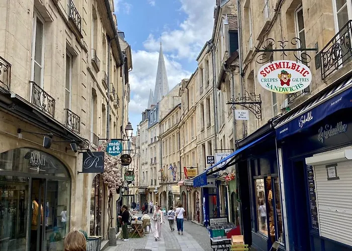 Apartament Le Cordelier - Hypercentre - Quartier Historique *